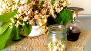 Лечебные свойства каштановой настойки