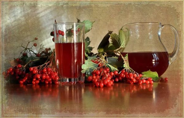 Кисти калины и настойка ее ягод в кувшине и стакане