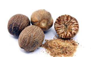 Мускатный орех