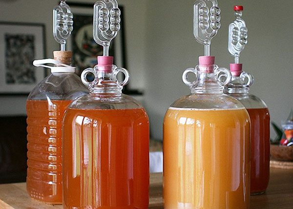 Яблочное вино в домашних условиях - простые рецепты приготовления яблочного вина Фаза 18 Яблочное вино в домашних условиях - простые рецепты приготовления яблочного вина Фаза 18