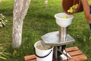 Мякоть яблока мелко нарезанная Раздавить яблоки