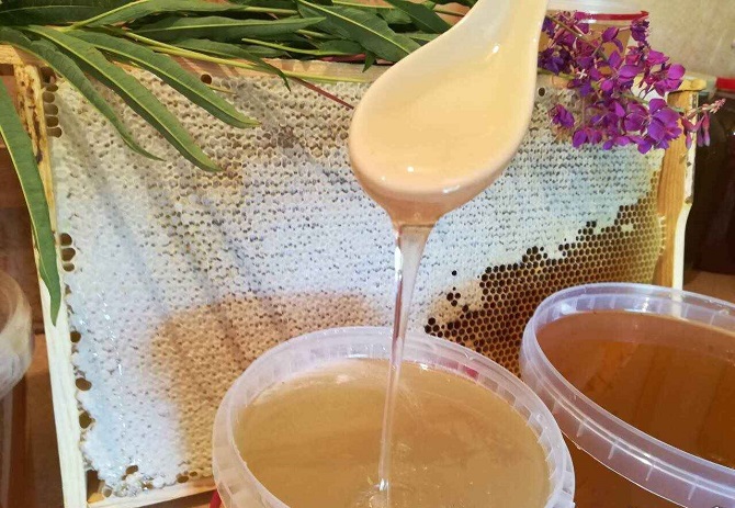 Сокровище Мид