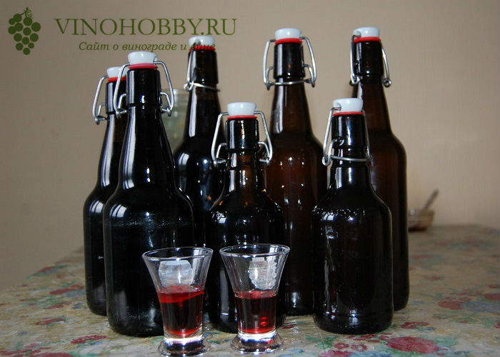 настойка-из-черноплодной-рябины 12