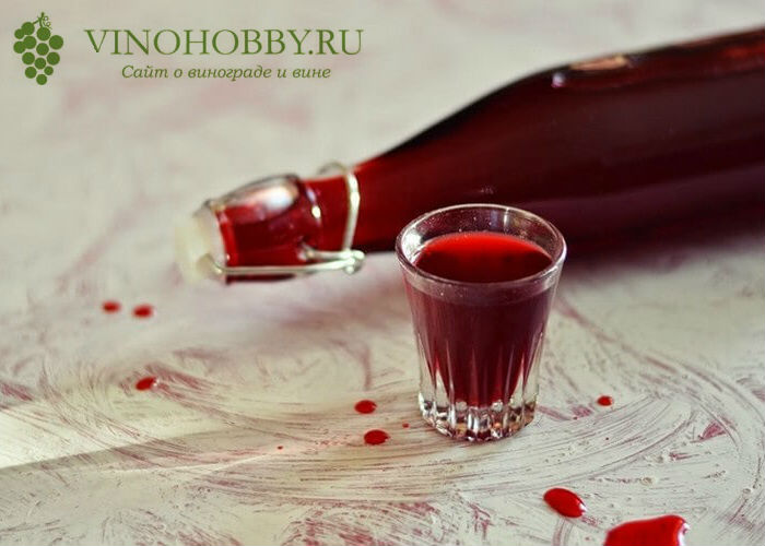 настойка-на-бруснике 19