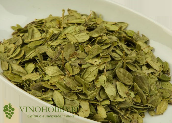 настойка-на-бруснике 20