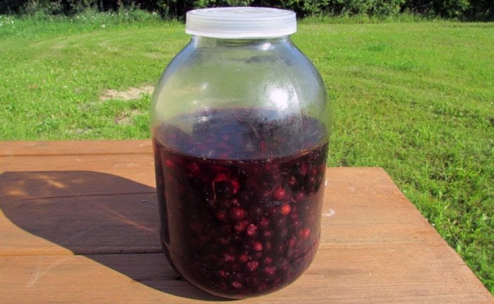 фото-10 фото-10-50