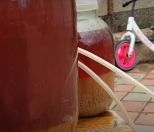 Отправляемся бродить