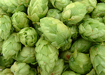 Обзор пива Cronenburg 1664