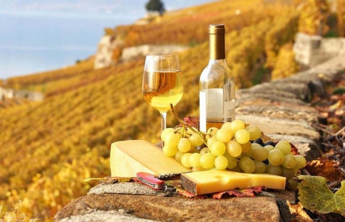 Классификация французских вин