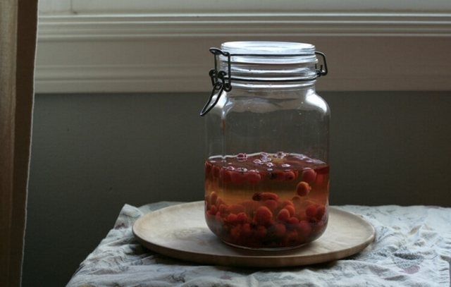 Рецепты настойки шиповника на водке, спирте и самогоне