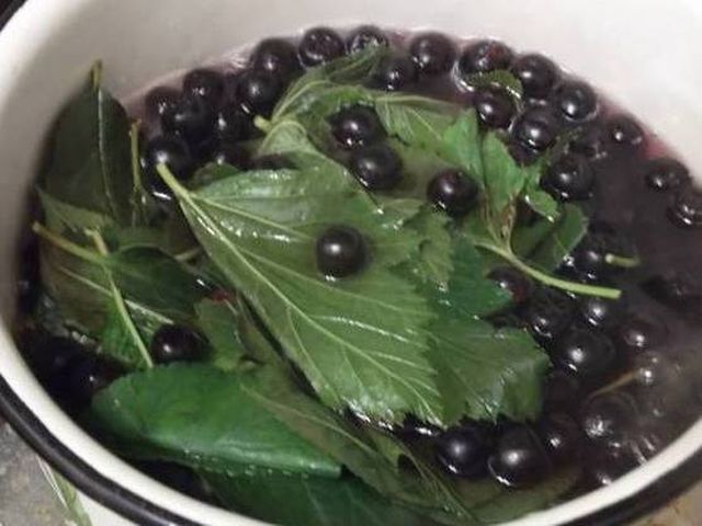 рябина с листьями в миске