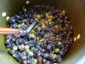 Виноградная брага