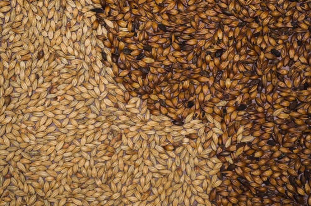 Ингредиенты на брагу на зерне