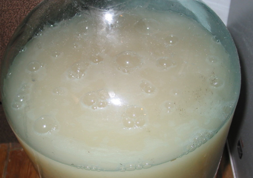 брага пузырится