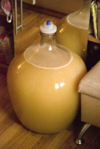 Брага из яблочного сока