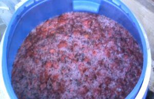 Брожение клубничного сусла