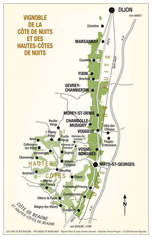 Бургундские вина: особенности, история, классификация, марки