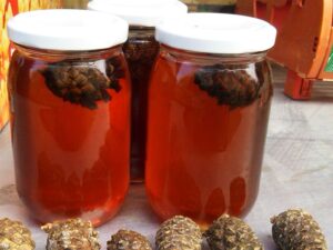 Сосновая настойка на шишках