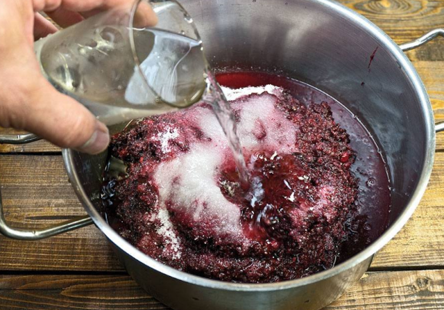 Что делать если брага перестала играть – 6 решений проблемы