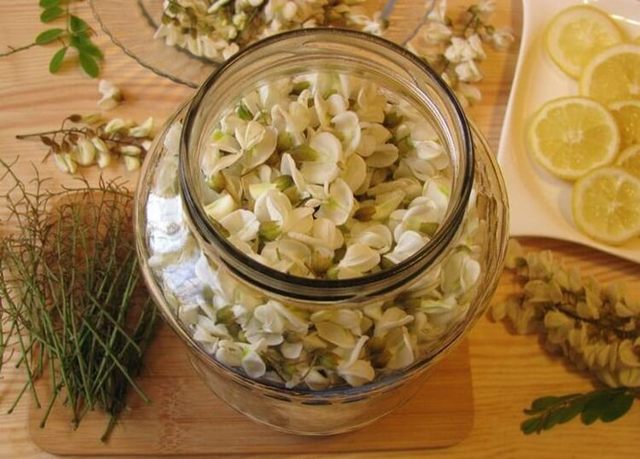 Домашнее вино из акации – рецепт и технология приготовления