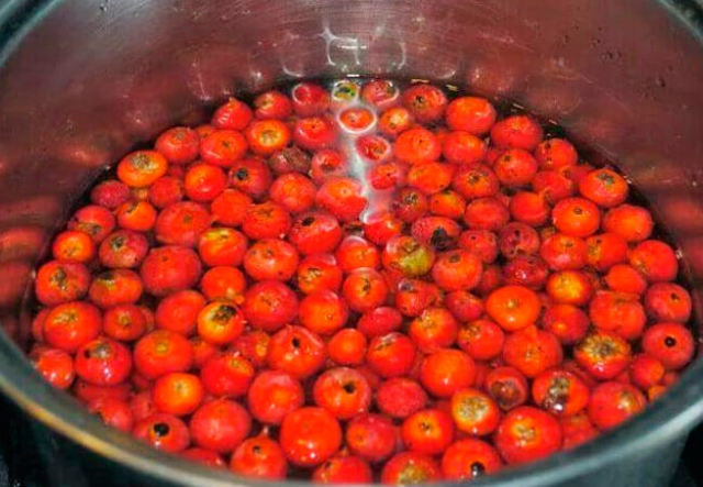 Домашнее вино из шиповника по проверенному рецепту