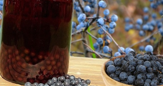 Домашнее вино из сливы – рецепт и технология приготовления