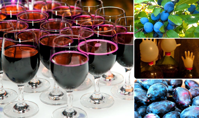 Домашнее вино из сливы – рецепт и технология приготовления