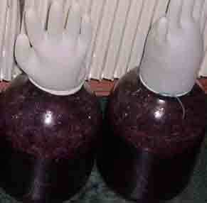 Домашние рецепты вишни (черешни) в вине