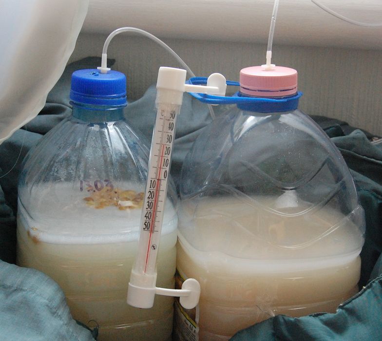 Градусник на браге