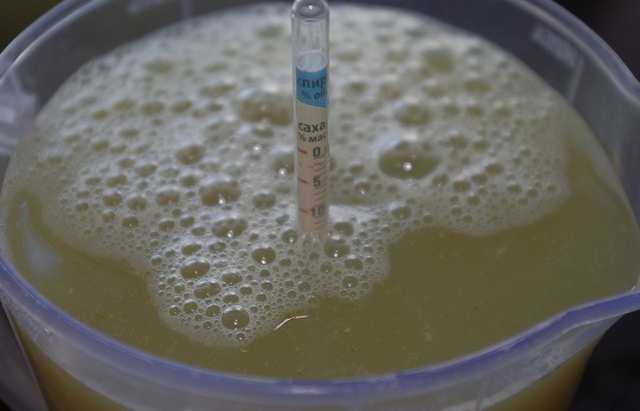 Как узнать крепость сусла (фруктовой браги)