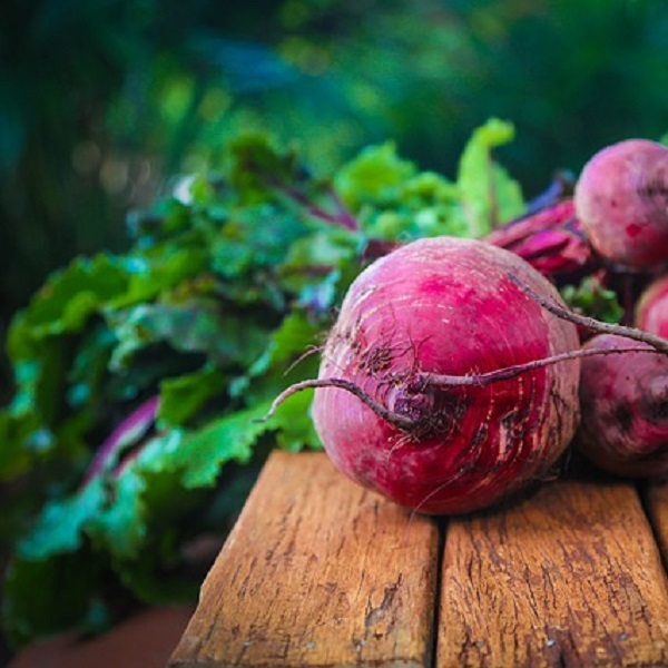 Лучшая емкость для фруктовой браги