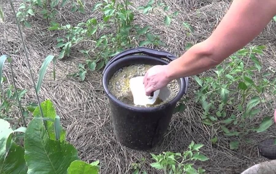 Барда с золой