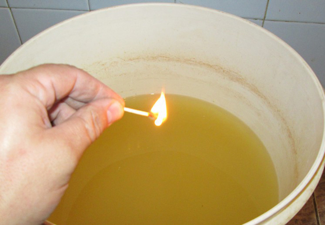 Самогон из ананасов – рецепт браги с сахаром и без