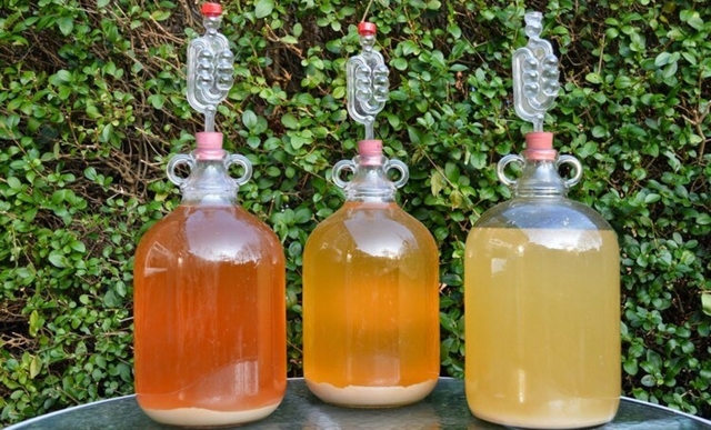 Самогон из ананасов – рецепт браги с сахаром и без