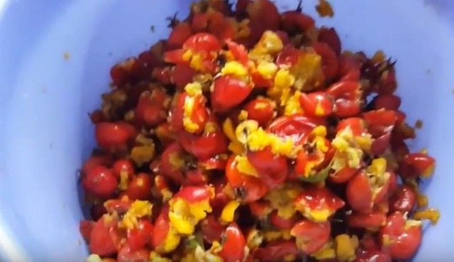 Самогон из боярышника – правильный рецепт браги и перегонка