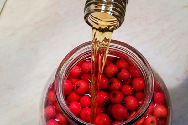 Самогон из боярышника – правильный рецепт браги и перегонка