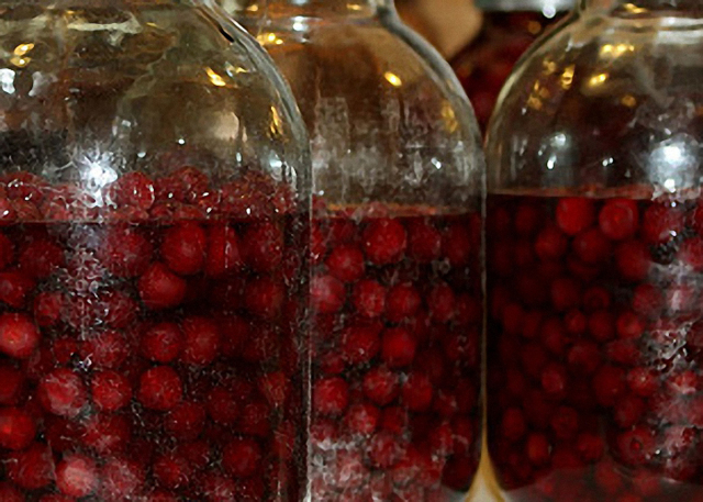 Самогон из вишни в домашних условиях - рецепт вишневой браги