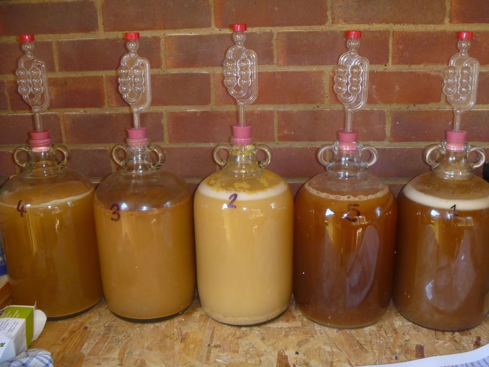 Брага с гирозатвором