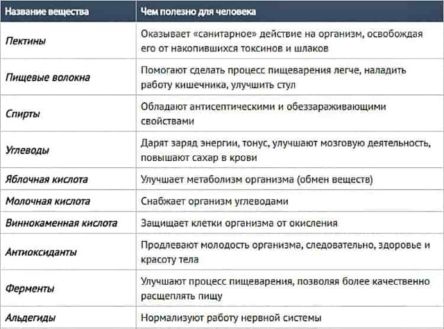 Уксус в вине – причины появления и профилактика