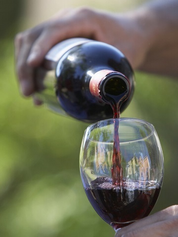 Вино Барбера: особенности, история, виды и культура пития