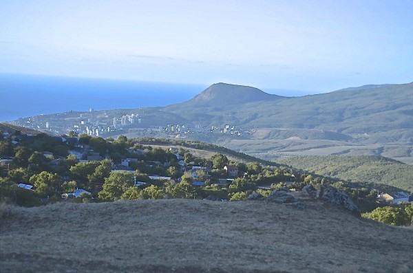 Вино Бастардо: описание, особенности, культура пития и марки