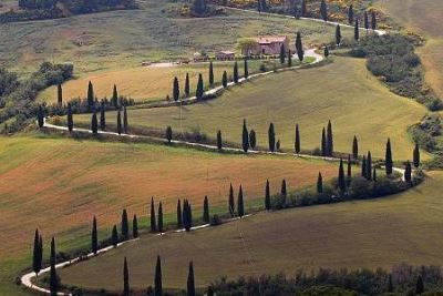 Вино Брунелло ди Монтальчино: особенности и культура пития