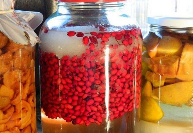 Вино из барбариса в домашних условиях – рецепт и технология