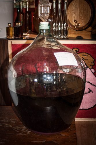 Вино из бузины в домашних условиях - рецепты из цветков и ягод