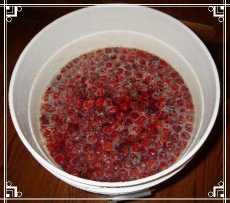 Вино из вишни с косточками в домашних условиях: простой рецепт