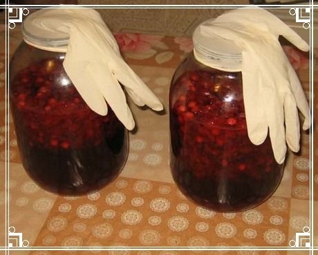 Вино из вишни с косточками в домашних условиях: простой рецепт