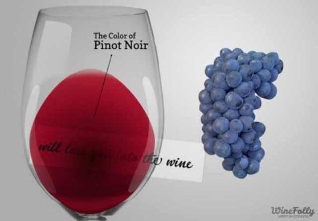Вино «Пино нуар (pinot noir)» – особенности и культура употребления