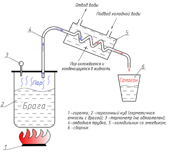 Влияние сахара на качество фруктовой браги