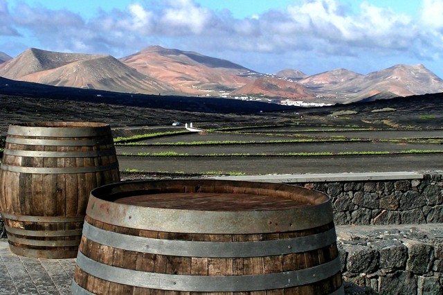 Вино Айрен: особенности, культура пития, известные марки