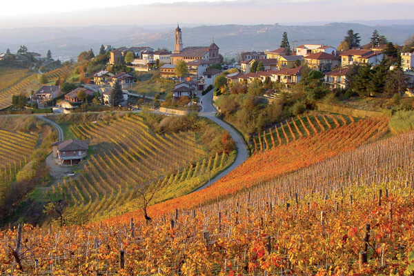 Вино Барбареско: особенности, известные марки, культура пития
